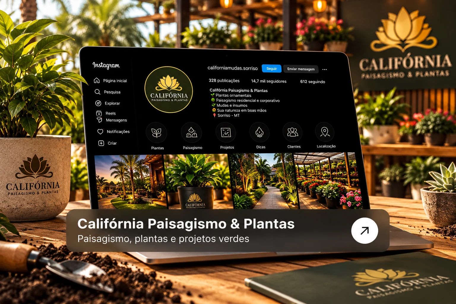 Califórnia Paisagismo e Plantas, com identidade visual dourada e ambiente repleto de plantas